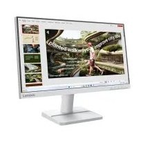 Lenovo L22-42 21.5" 100Hz FHD IPS Monitor